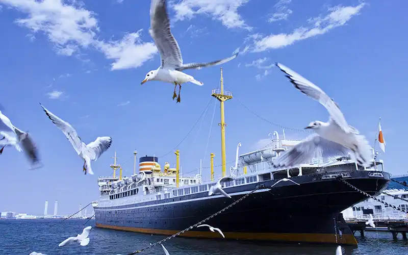 Yokohama port